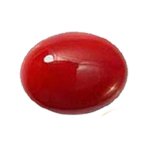 red coral (Moonga) stone